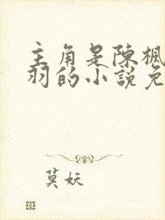 主角是陈枫燕清羽的小说免费阅读