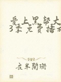 爱上黑帮大佬第3季免费播放