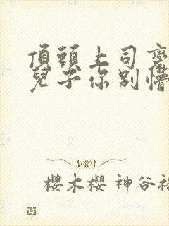 顶头上司变后妈儿子你别懵短剧完整版
