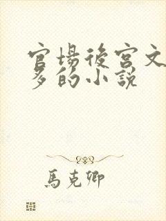 官场后宫文女主多的小说