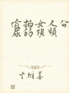 偷拍女人公厕尿尿的视频