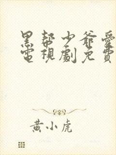 黑帮少爷爱上我电视剧免费观看全集在线播放