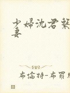 少妇沈君系列人妻