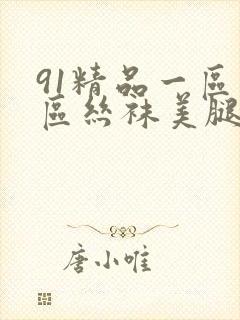 91精品一区二区丝袜美腿封面