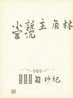 小说主角林知意宫沉