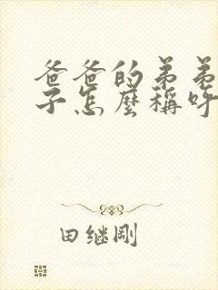 爸爸的弟弟的妻子怎么称呼封面