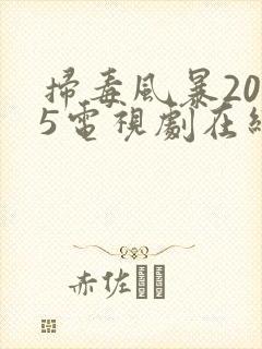 扫毒风暴2025电视剧在线播放免费观看