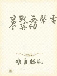 密战无声电视剧全集40