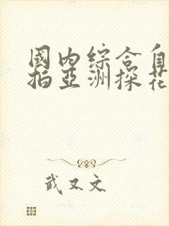 国内综合自拍偷拍亚洲探花