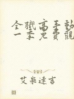 全职高手动漫第一季免费观看