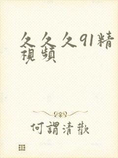 久久久91精品视频