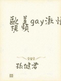 欧美gay激情视频