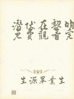 潜伏在黎明之前免费观看完整封面