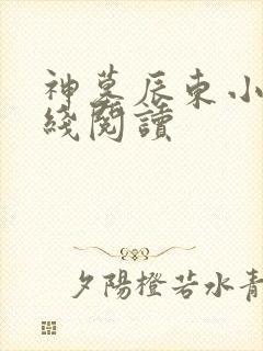 神墓辰东小说在线阅读封面