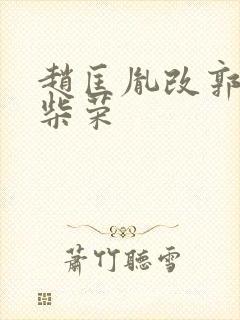 赵匡胤改郭荣为柴荣封面