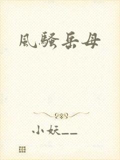 风骚岳母