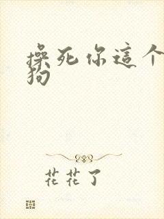 操死你这个小母狗