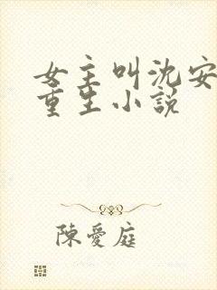 女主叫沈安宁的重生小说