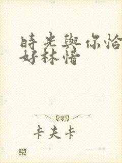 时光与你恰是正好林惜