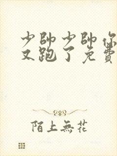 少帅少帅你老婆又跑了免费阅读