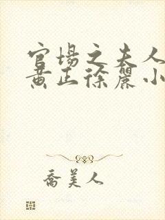 官场之夫人之路黄正徐丽小说免费阅