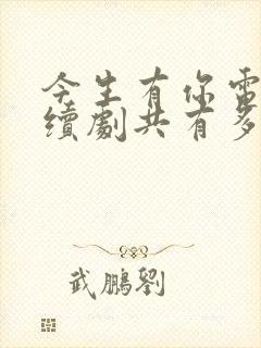 今生有你电视连续剧共有多少集