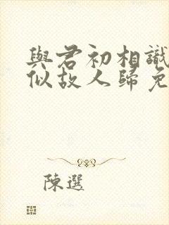 与君初相识·恰似故人归免费看封面