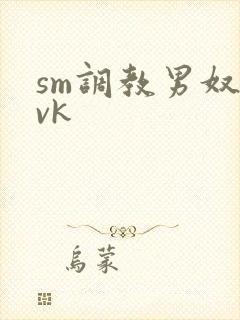 sm调教男奴丨vk