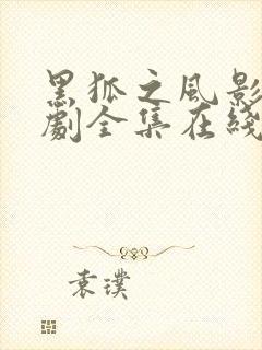 黑狐之风影电视剧全集在线观看完整版免费封面