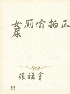 女厕偷拍正面尿尿