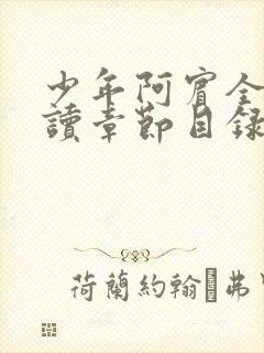少年阿宾全文阅读章节目录