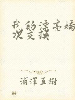 我的漂亮娇妻初次交换