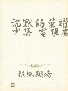 沉默的荣耀共多少集 电视剧免费观看