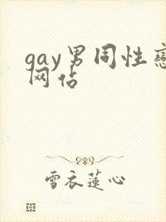 gay男同性恋网站封面