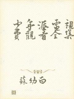 少年派电视剧免费观看全集在线播放封面