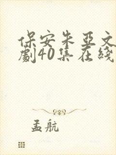 保安朱亚文电视剧40集在线观看