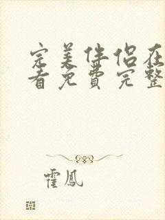 完美伴侣在线观看免费完整版