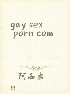 gay sex porn com封面