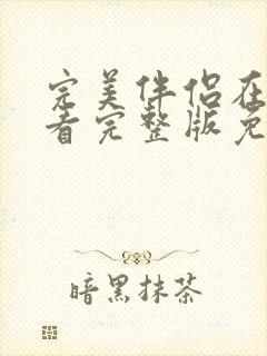 完美伴侣在线观看完整版免费封面