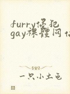 furry侵犯gay裸体网站