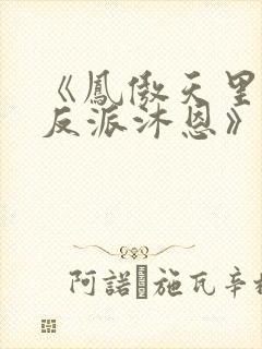 《凤傲天里黄毛反派沐恩》小说