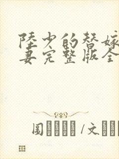 陆少的替嫁小娇妻完整版全文阅读