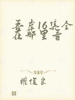 吾岸16集全集在哪里看