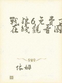 战狼6免费高清在线观看国语