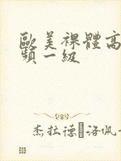 欧美裸体高清视频一级