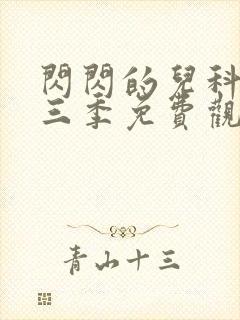 闪闪的儿科医生三季免费观看封面
