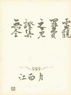 无证之罪电视剧全集免费观看封面