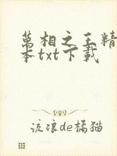 万相之王精校全本txt下载