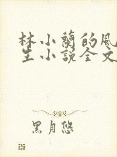 林小兰的风流人生小说全文免费阅读