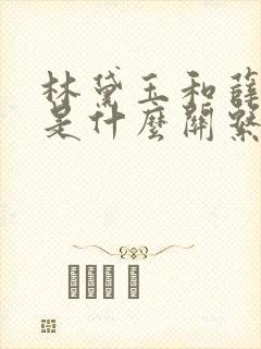 林黛玉和薛宝钗是什么关系